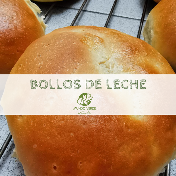 BOLLITOS DE LECHE